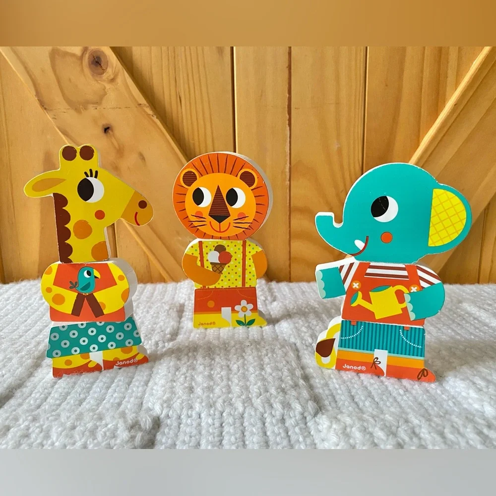 Janod Wooden Magnetic Toy
